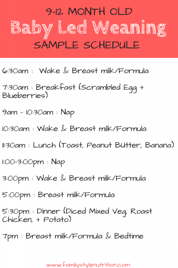 breast milk and formula schedule