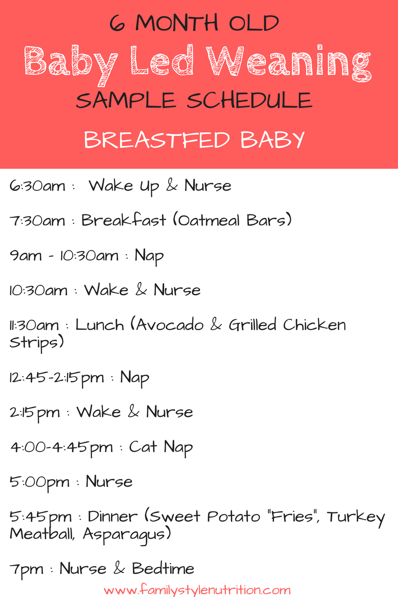Breastfed Blw Sample Schedule Family Style Nutrition