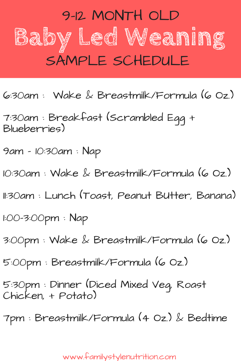 Baby Feeding Schedule: 9 to 12 Months Old